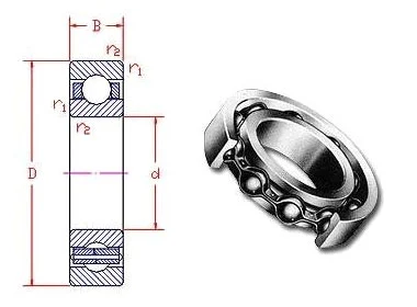 Single Row Deep Groove Ball Bearing
